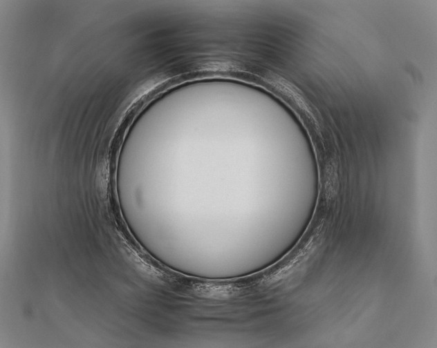 X0000111850831200908061312