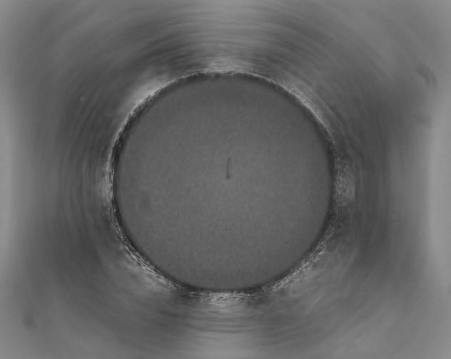 X0000111850832200908061312