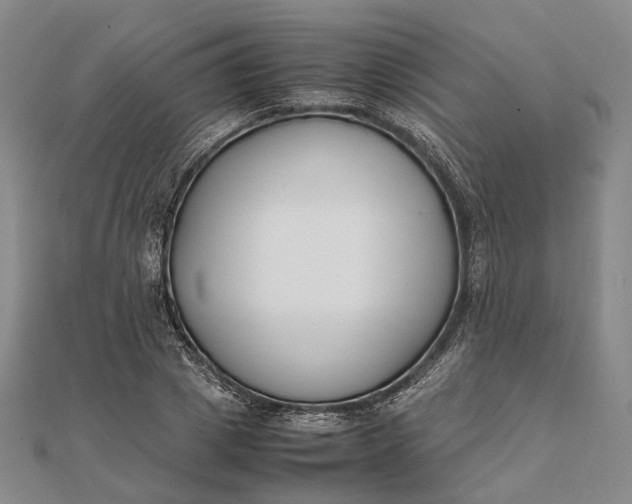 X0000111850833200908061312