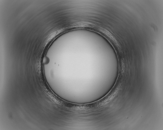 X0000111850834200908061312