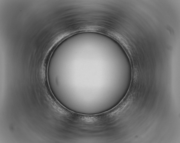 X0000111850835200908061312