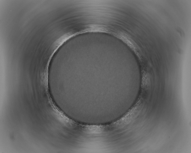 X0000111850836200908061312