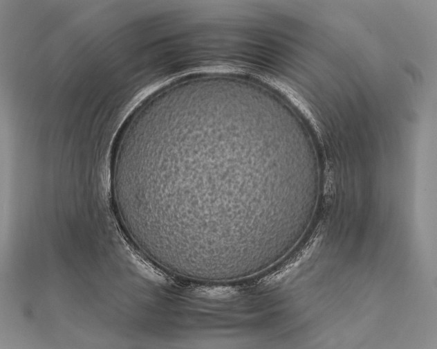 X0000111850837200908061312