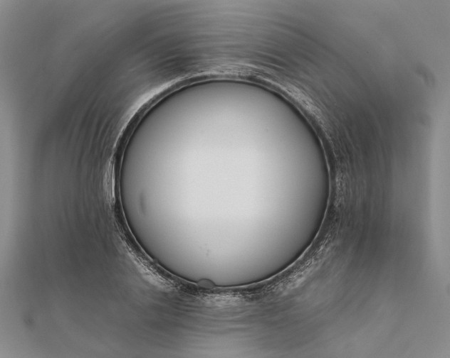 X0000111850838200908061312