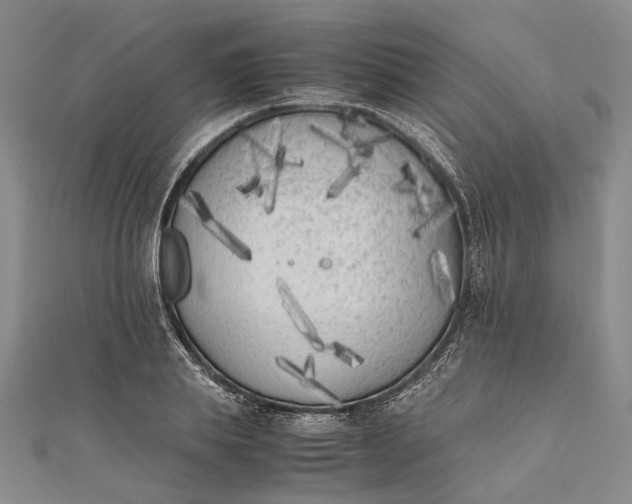 X0000111850839200908061312