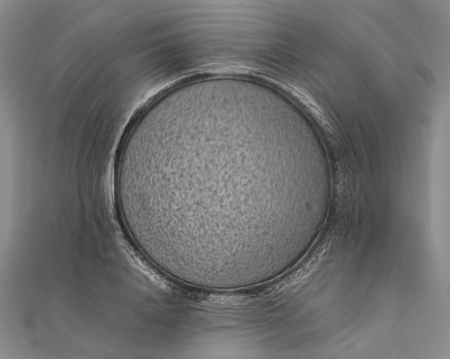 X0000111850840200908061312