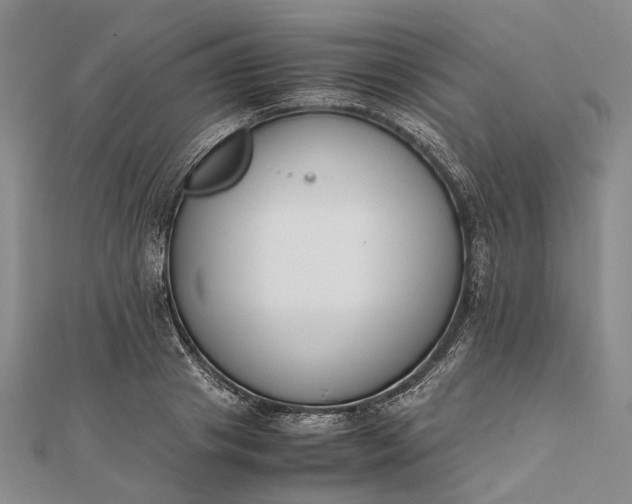 X0000111850841200908061312