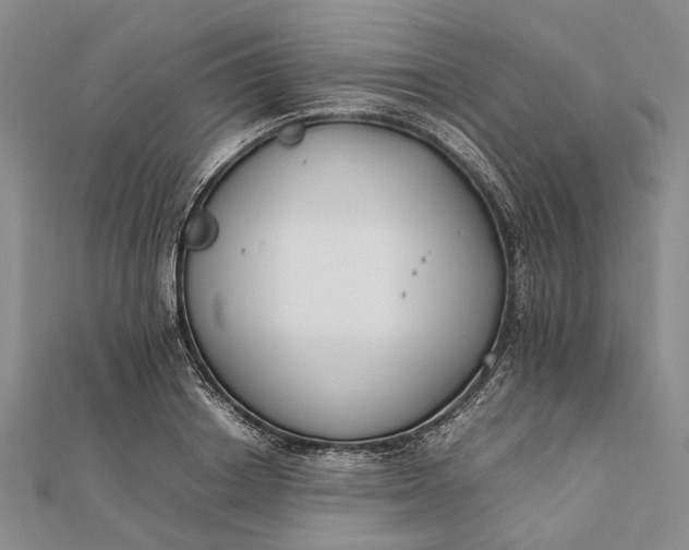 X0000111850842200908061312