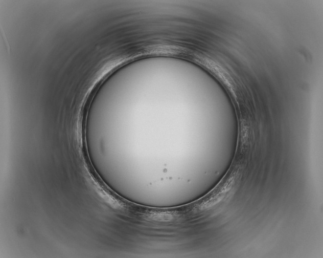 X0000111850843200908061312