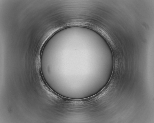 X0000111850844200908061312