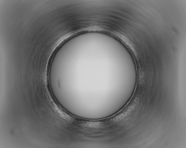 X0000111850845200908061313