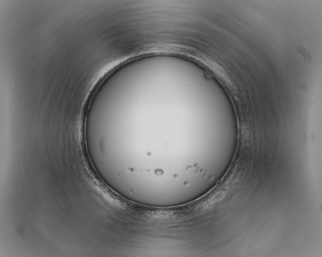 X0000111850846200908061313