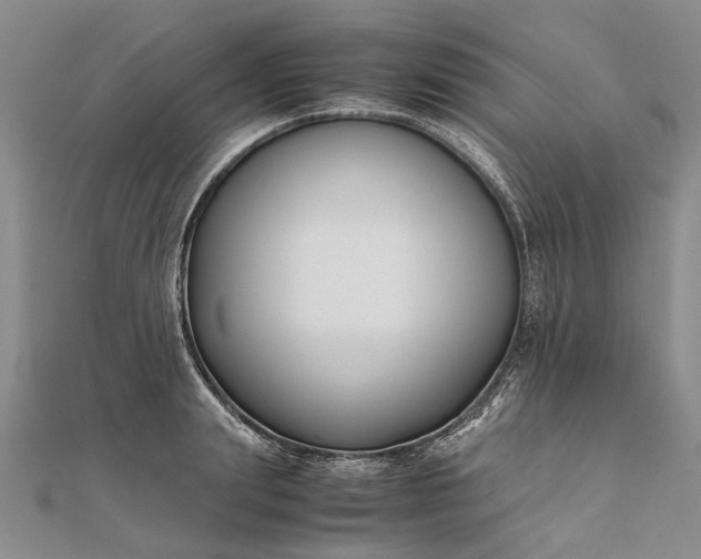 X0000111850847200908061313