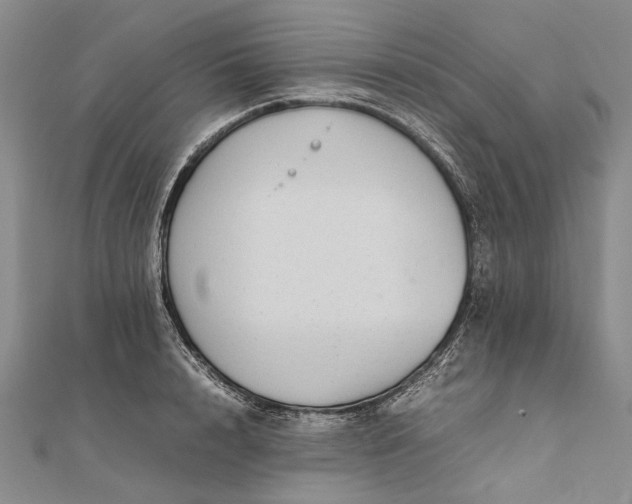 X0000111850848200908061313