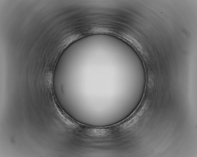 X0000111850849200908061313