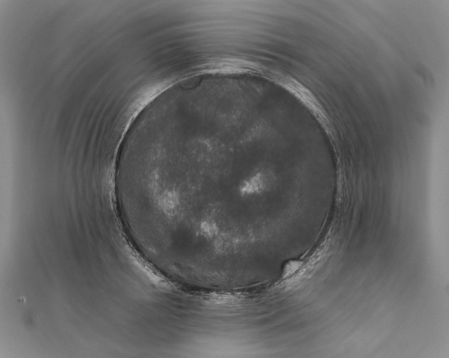 X0000111850850200908061313