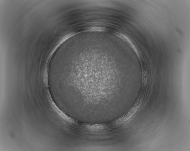 X0000111850851200908061313