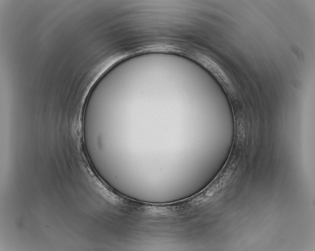 X0000111850852200908061313