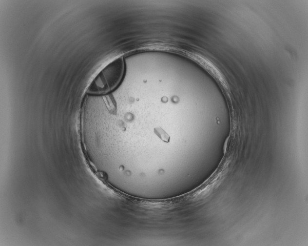 X0000111850855200908061313