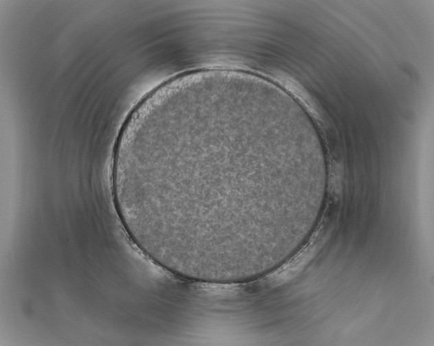 X0000111850856200908061313