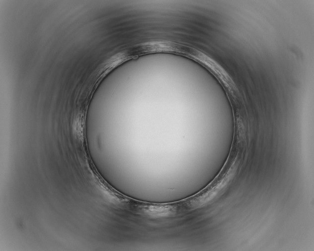 X0000111850857200908061313