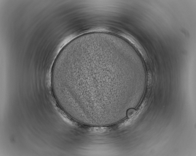 X0000111850858200908061313