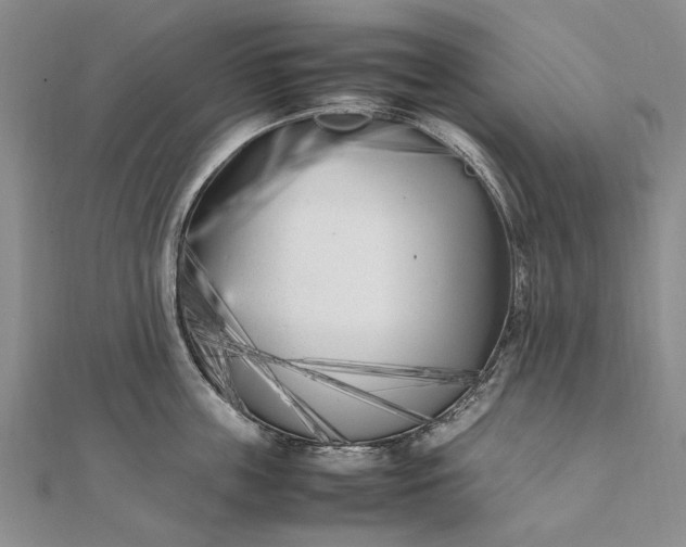 X0000111850859200908061313