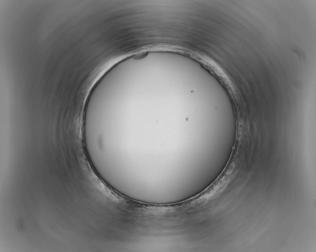 X0000111850860200908061313