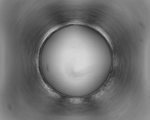 X0000111850861200908061313