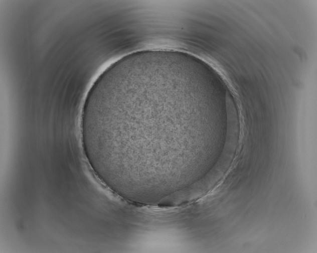 X0000111850864200908061313