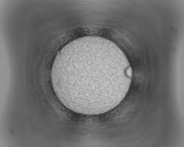 X0000111850865200908061312