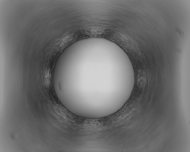 X0000111850866200908061312