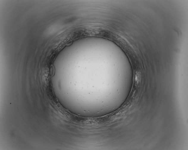 X0000111850867200908061312