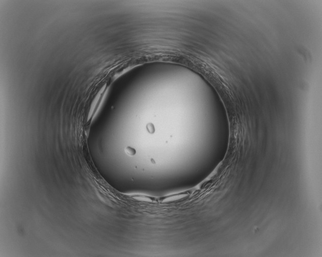 X0000111850868200908061312