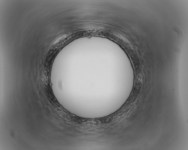 X0000111850869200908061312