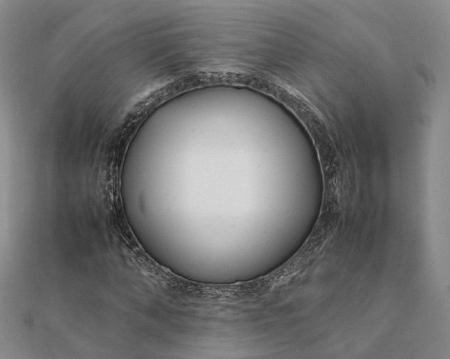 X0000111850870200908061312