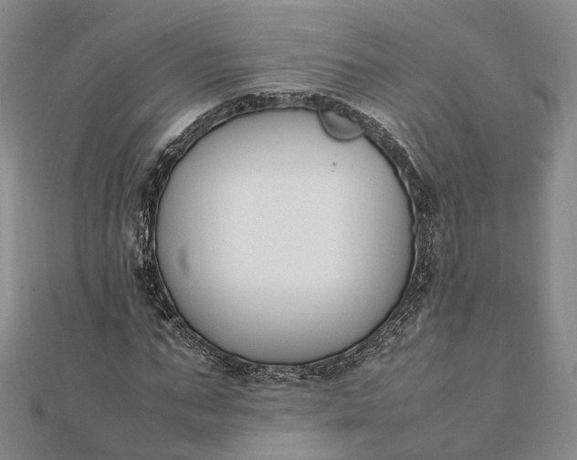 X0000111850871200908061312