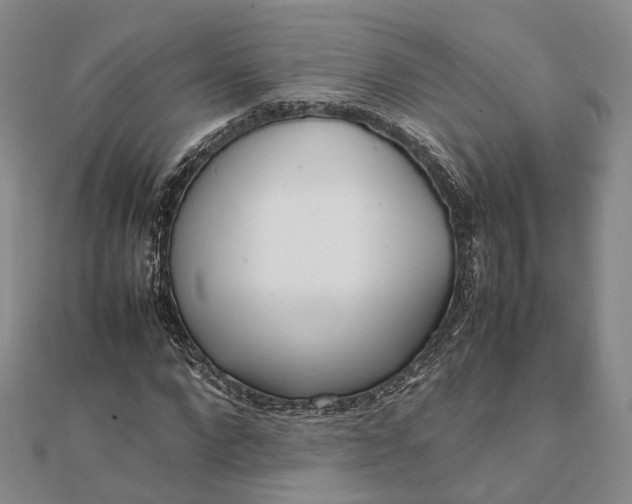 X0000111850872200908061312