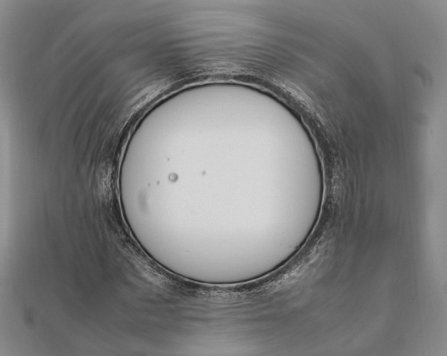 X0000111850873200908061312