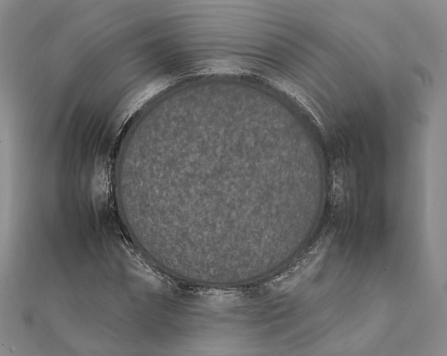 X0000111850874200908061312