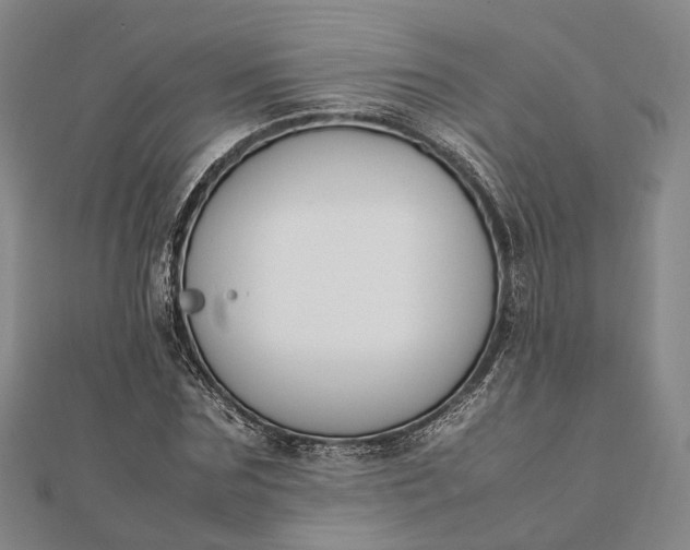 X0000111850875200908061312