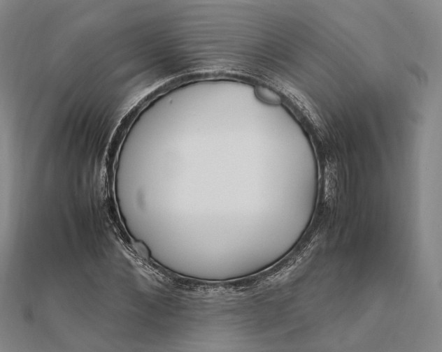 X0000111850876200908061312