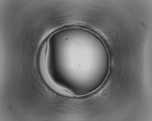 X0000111850877200908061312