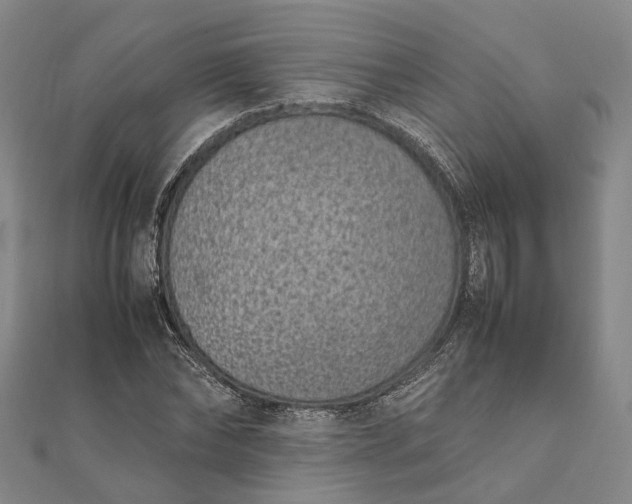 X0000111850878200908061312