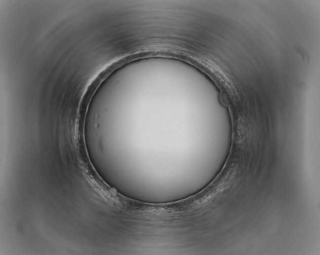 X0000111850880200908061312