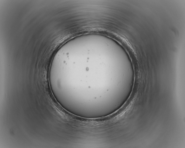 X0000111850881200908061312