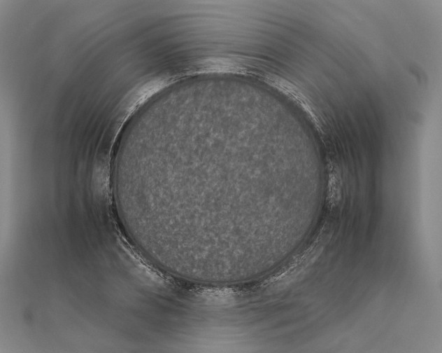 X0000111850882200908061312