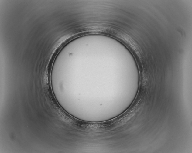 X0000111850883200908061312