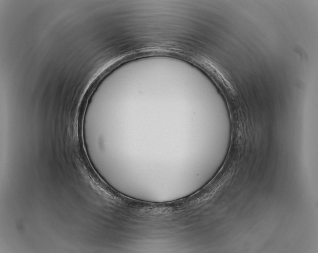 X0000111850884200908061312