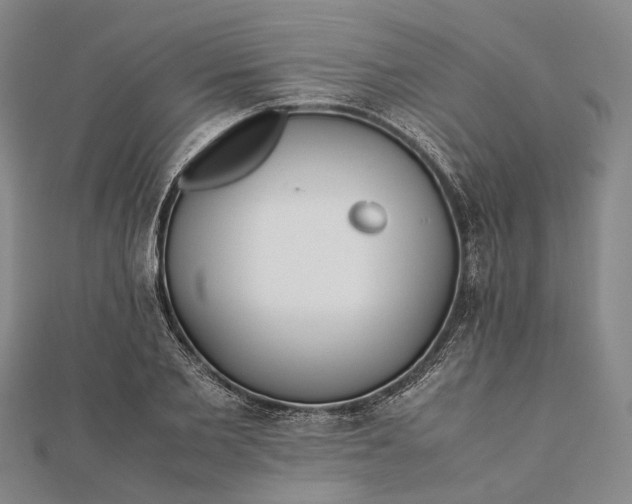 X0000111850885200908061312